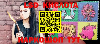 кокс Можга