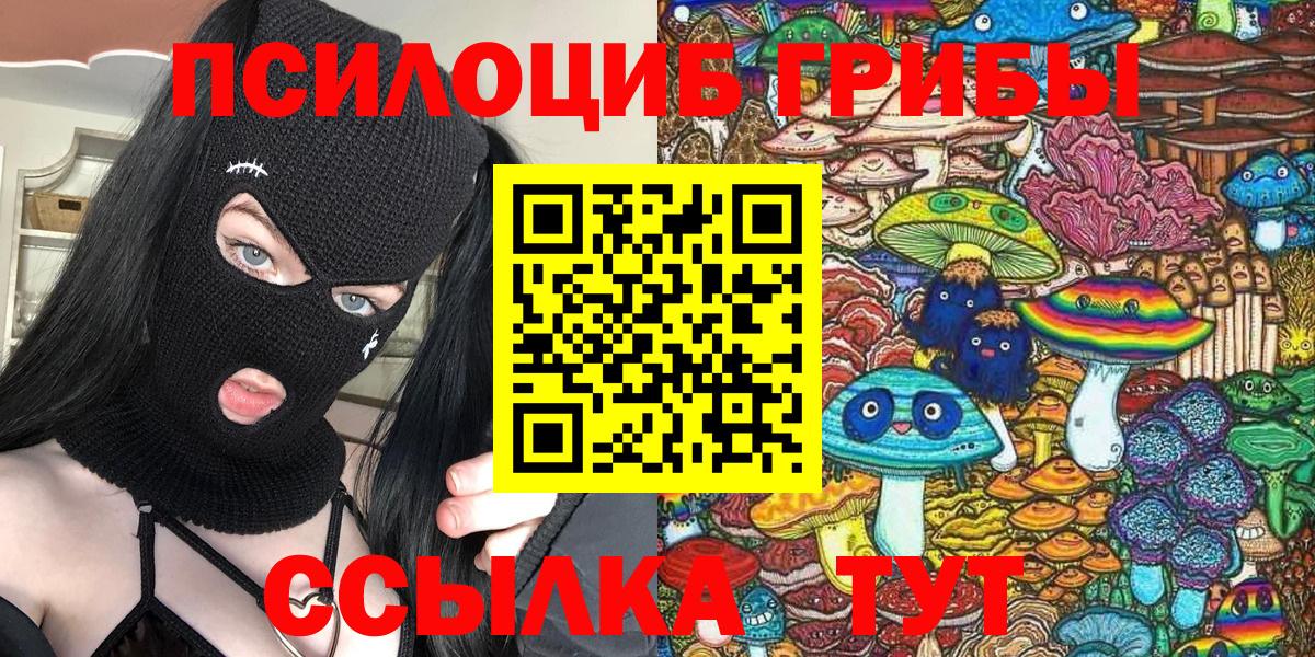 дарнет шоп  Псилоцибиновые грибы MAGIC MUSHROOMS  Вход с VPN  Псилоцибиновые грибы мухоморы  Псков 